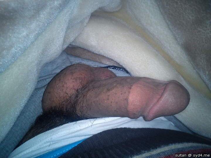 Photo of a cock from sultan