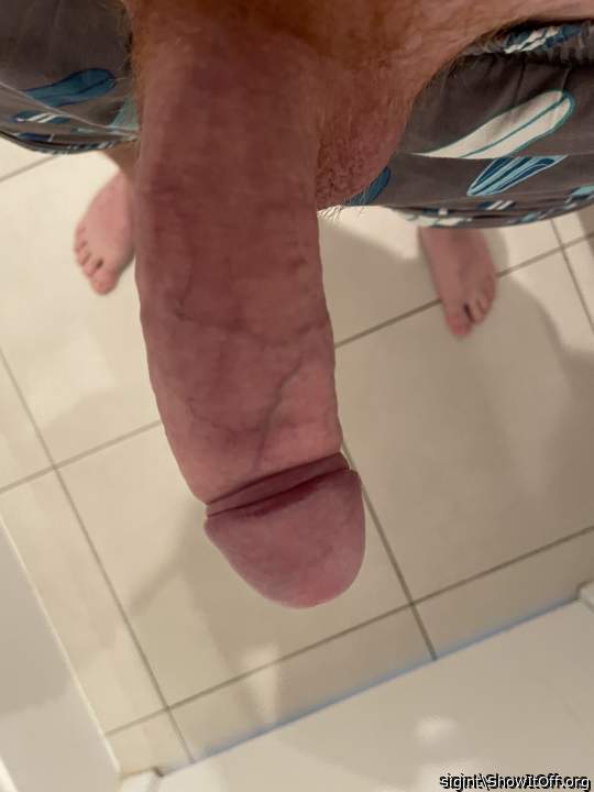 Photo of a bat from sigint