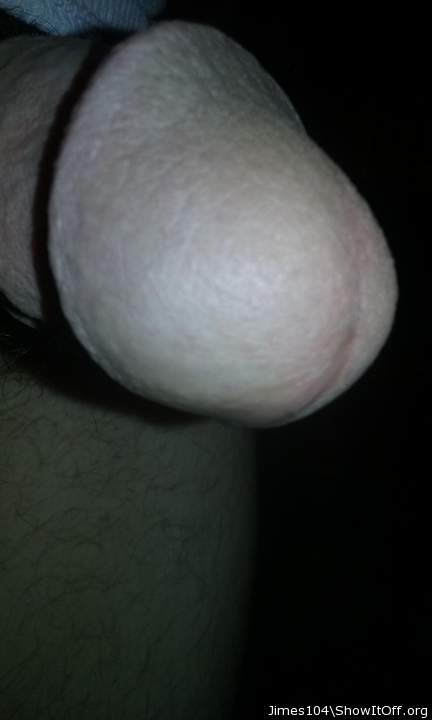 Photo of a weasel from jimes104