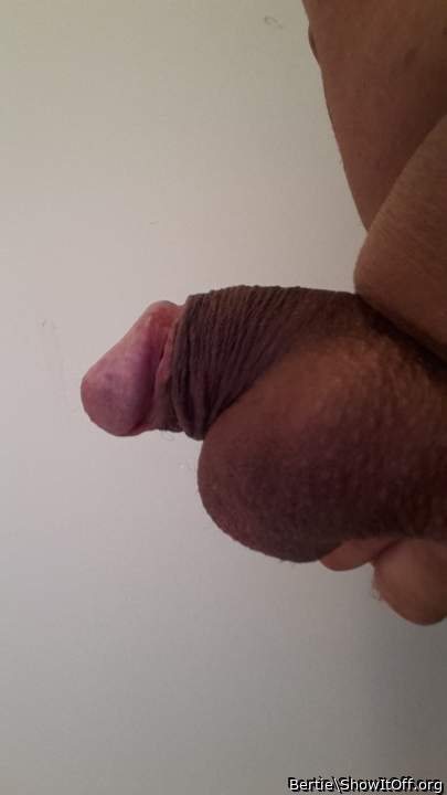 Photo of a snake from Bertie