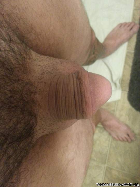 Photo of a short leg from Tnelson88