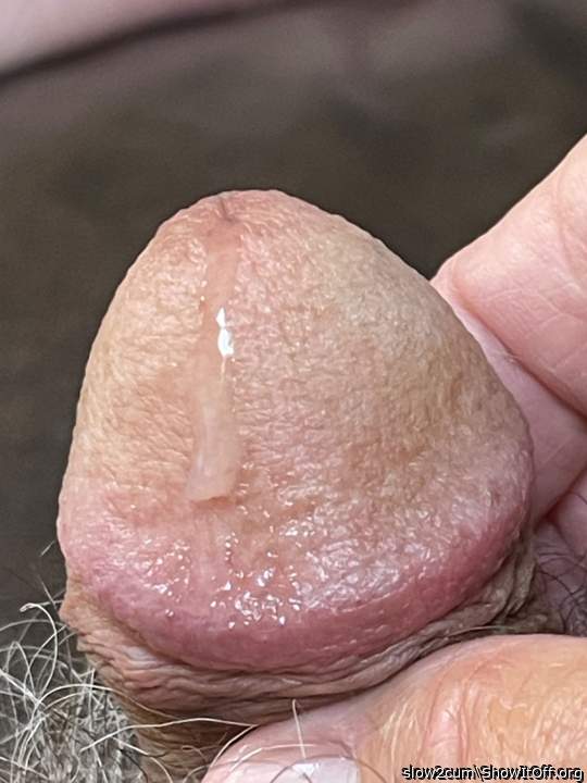 Photo of a schlong from slow2cum