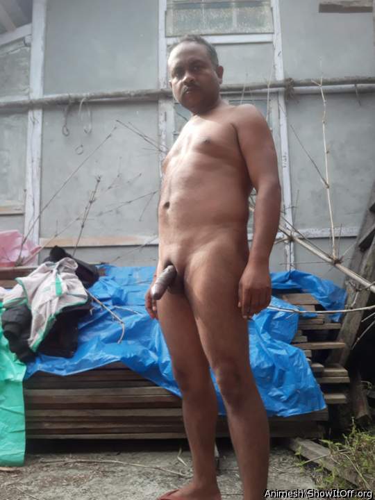 Photo of a horn from Animesh
