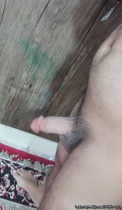 Photo of a python from bahram