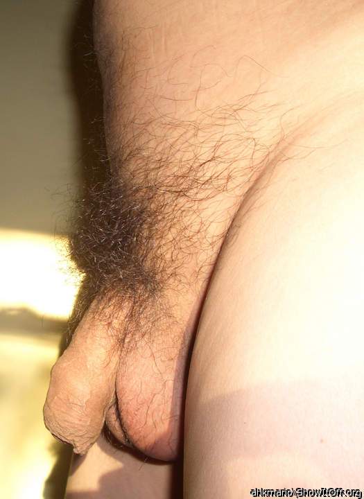 Photo of a cavalier from uncutmario