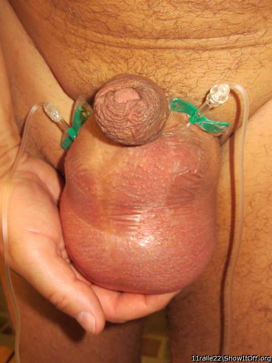 schn stramm fllen so das er dick und fett wird  