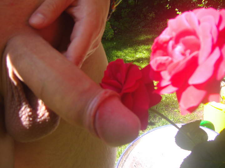 Photo of a meat stick from stecher