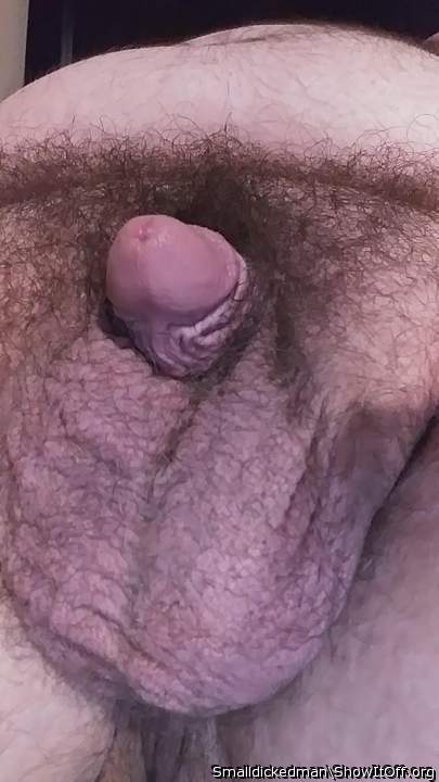 Photo of a penis from Smalldickedman