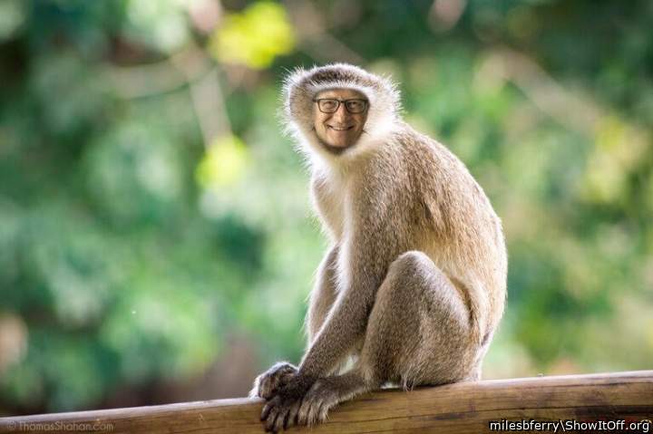 Billy Goats's Monkey Pox!