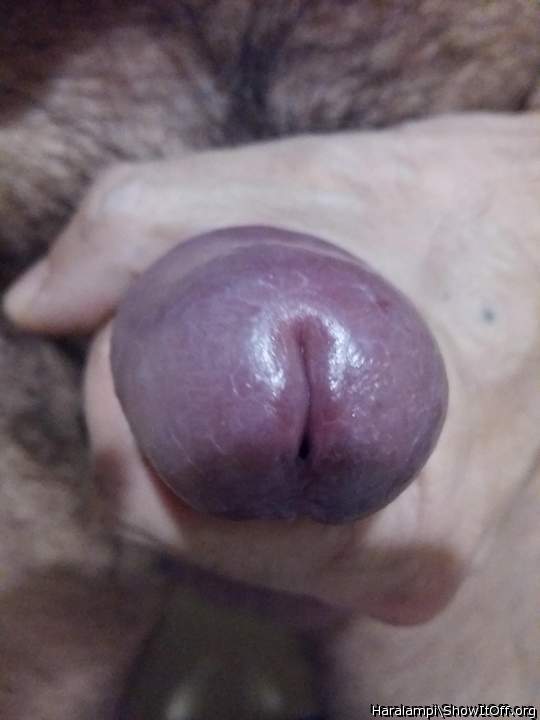 My cock