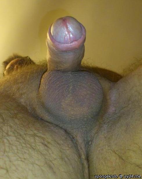 Photo of a horn from spongeknob