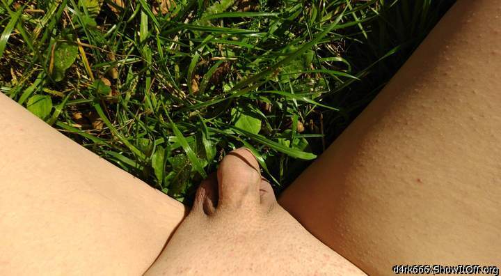 In the grass