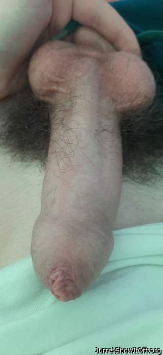 Photo of a ram rod from CockLover1231