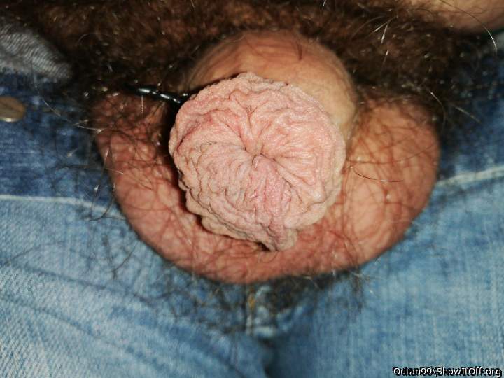 Photo of a pecker from Outan99