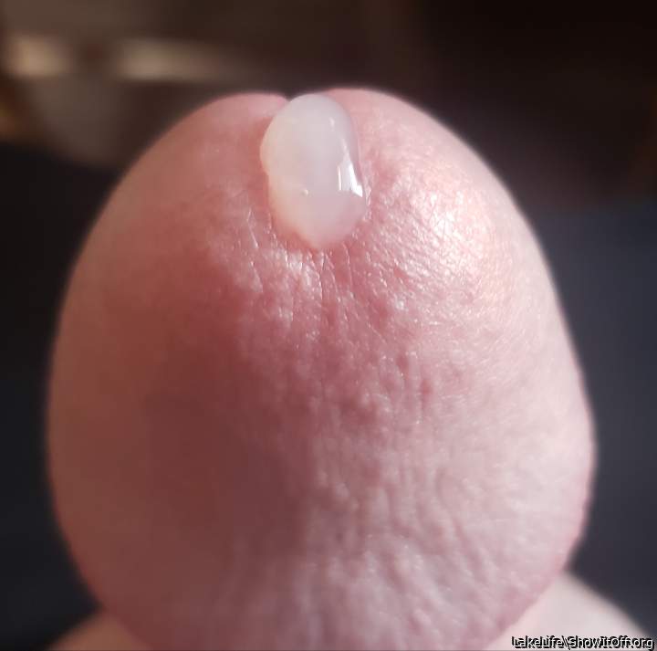 Cum dripping