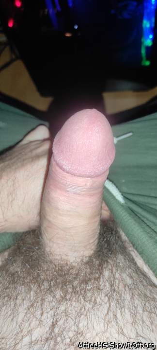 Photo of a bald-headed mouse from AttleeMS
