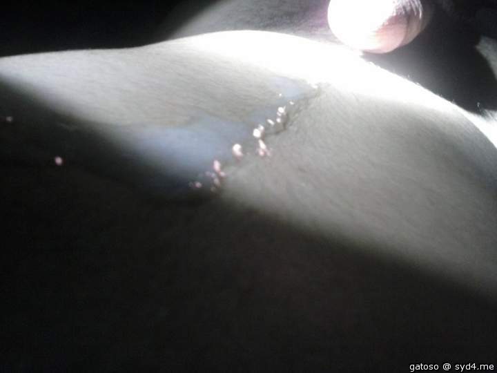 Photo of a love muscle from gatoso