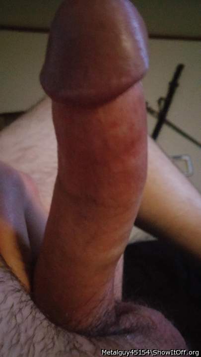 Photo of a third leg from Metalguy45154