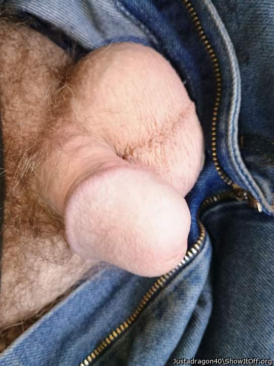 Photo of a python from Justadragon40