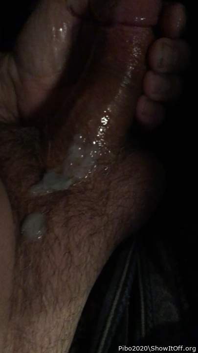 Photo of a third leg from Pibo2020