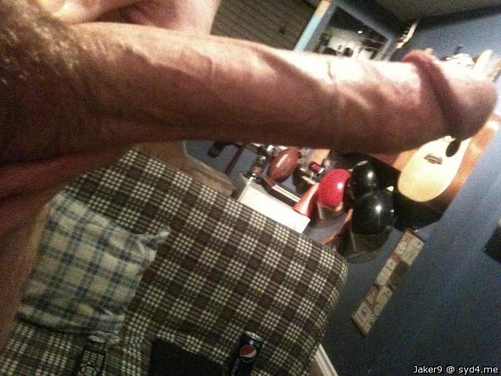 Photo of a snake from Jaker9