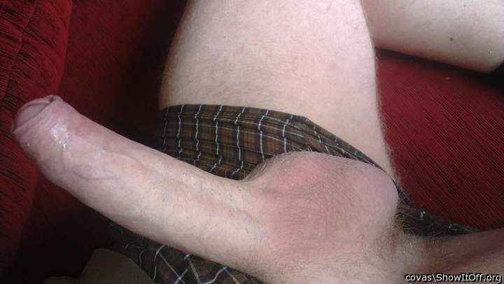 Photo of a bald-headed mouse from covas