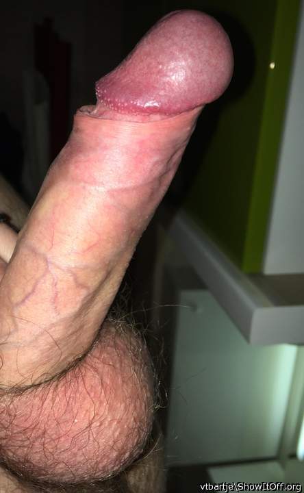 Photo of a middle leg from vtbartje