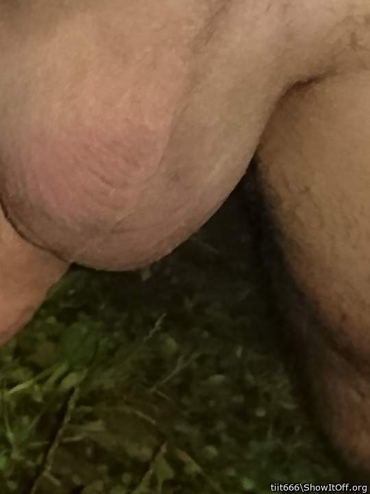 Testicles Photo from tiit666