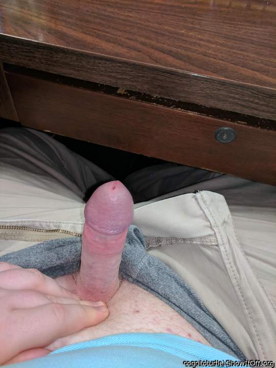 Photo of a stiffie from Cognitoturtle