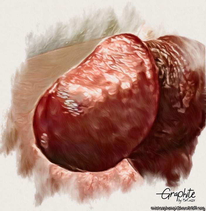 Photo of a lizard from misterplump