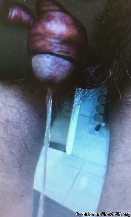 Photo of a short leg from Cornishman