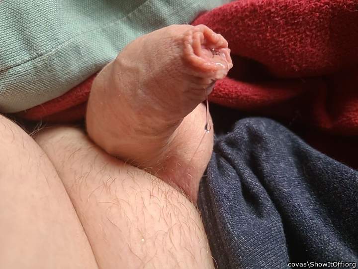 Da bekomme ich Lust ihn in den Mund zu nehmen 