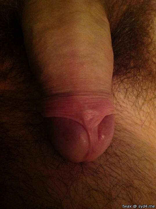 Photo of a hot dog from twax