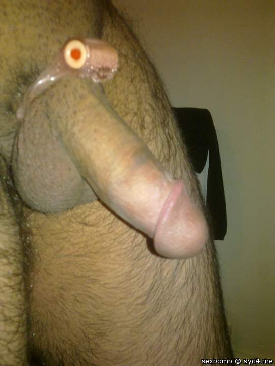 Photo of a rooster from Sexbomb
