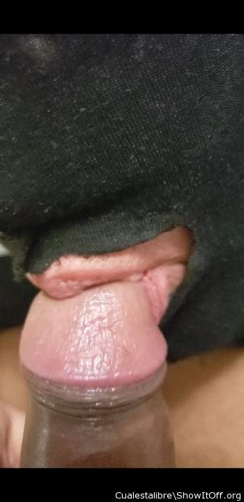 Photo of a bald-headed mouse from cualestalibre