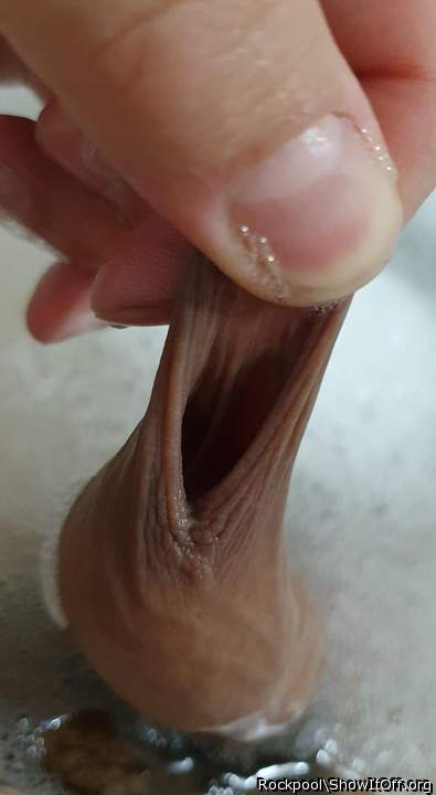Photo of a cock from Rockpool