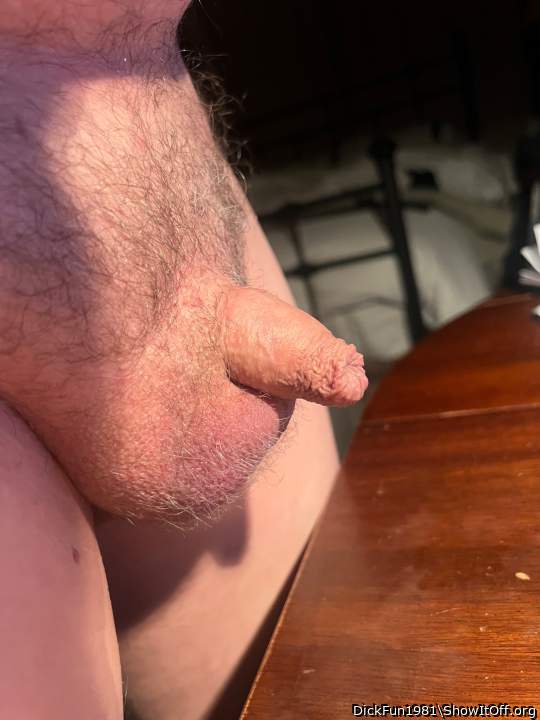 Photo of a boner from DickFun1981