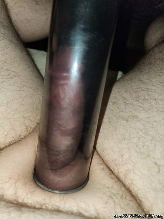 Photo of a middle leg from hemi2242