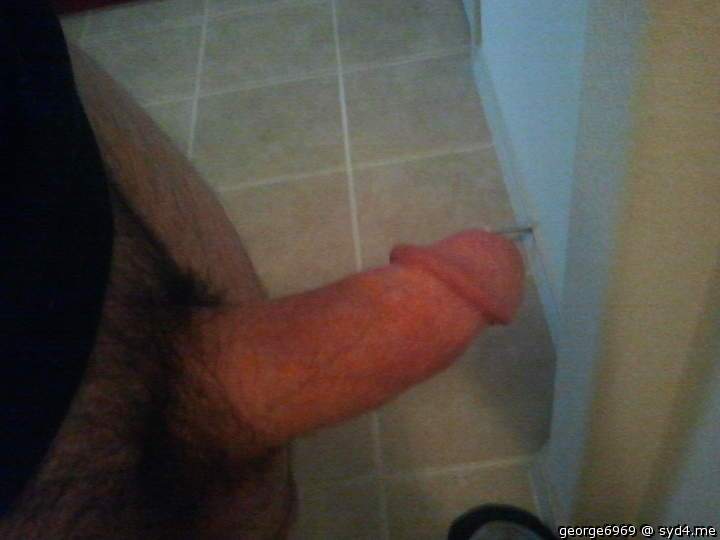 Photo of a middle leg from George6969