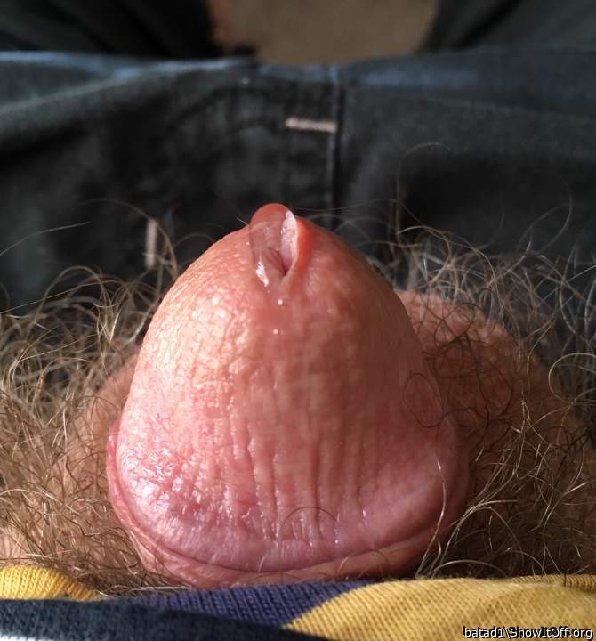 Photo of a sausage from batad1