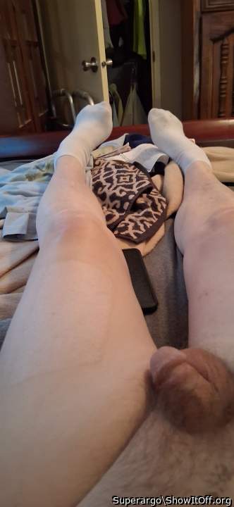 Photo of a short leg from Superargo