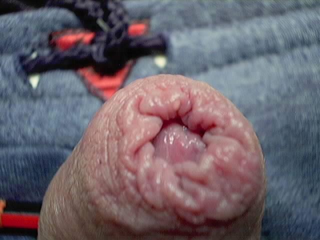 Photo of a dong from Aussie123