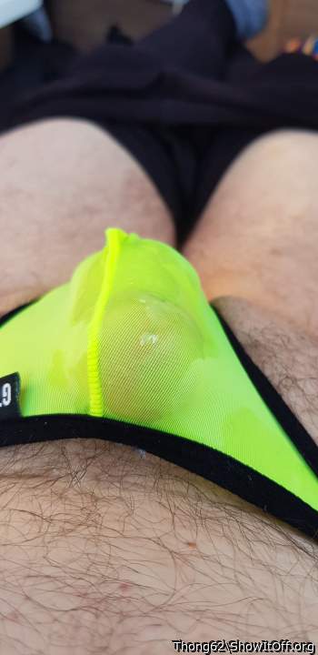 Photo of a weasel from Thong62