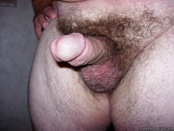 Photo of a power tool from chub39