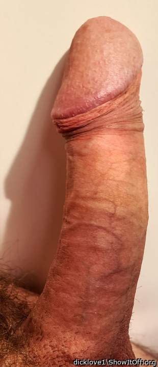 What a nice looking dick 