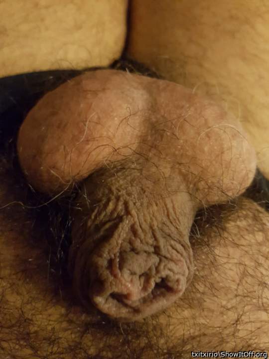 My limp small cock.