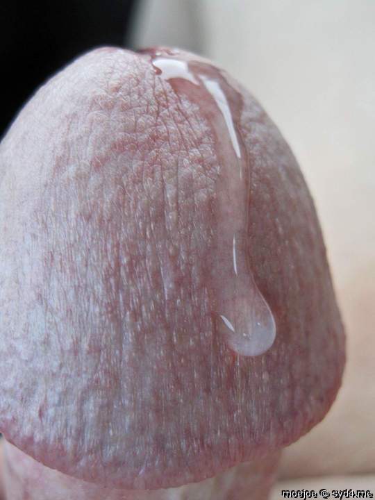 Pre-cum cockhead....