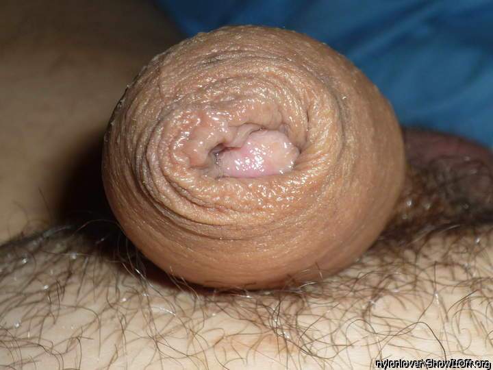 Photo of a lizard from nylonlover