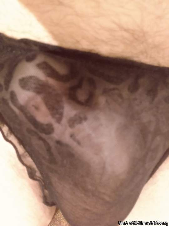 panties
