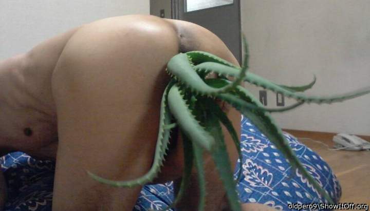 my toy